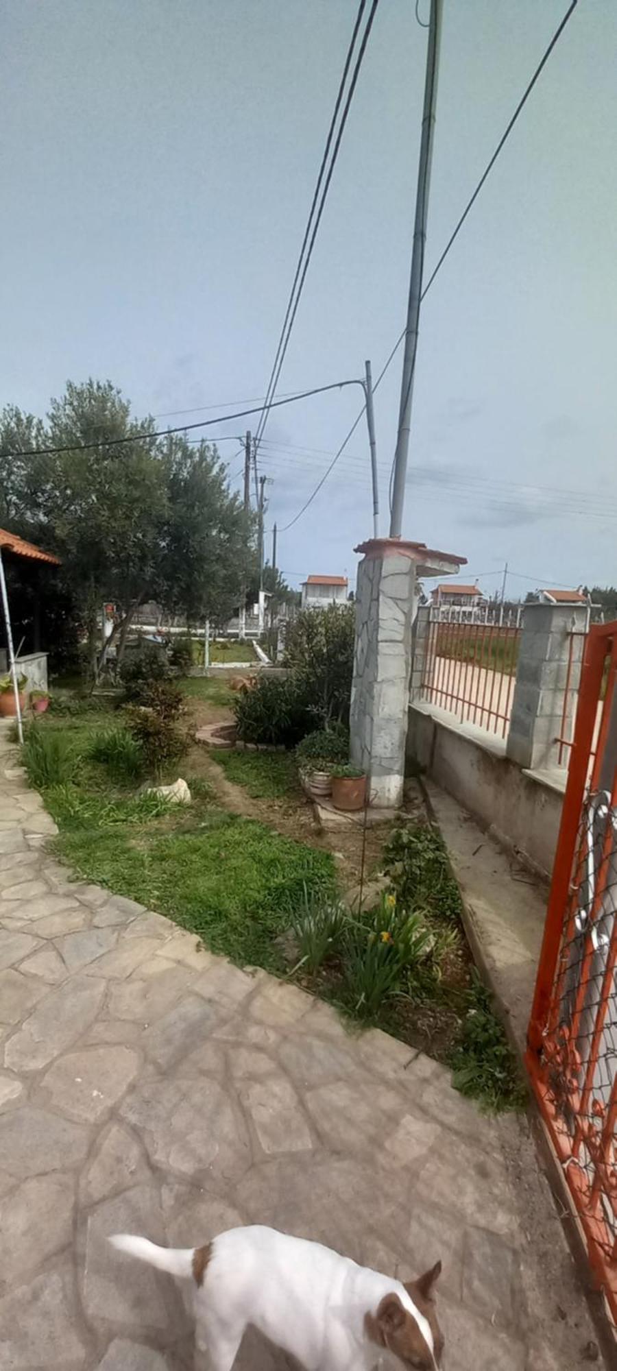 Villa Julia Νέα Πλάγια Εξωτερικό φωτογραφία