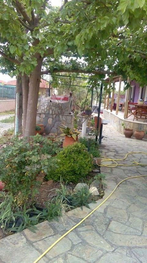 Villa Julia Νέα Πλάγια Εξωτερικό φωτογραφία