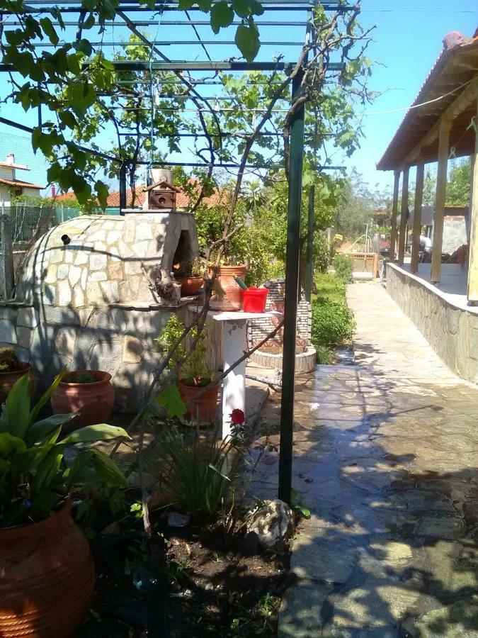 Villa Julia Νέα Πλάγια Εξωτερικό φωτογραφία