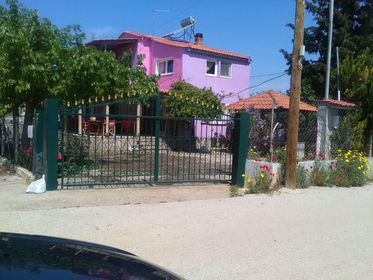 Villa Julia Νέα Πλάγια Εξωτερικό φωτογραφία