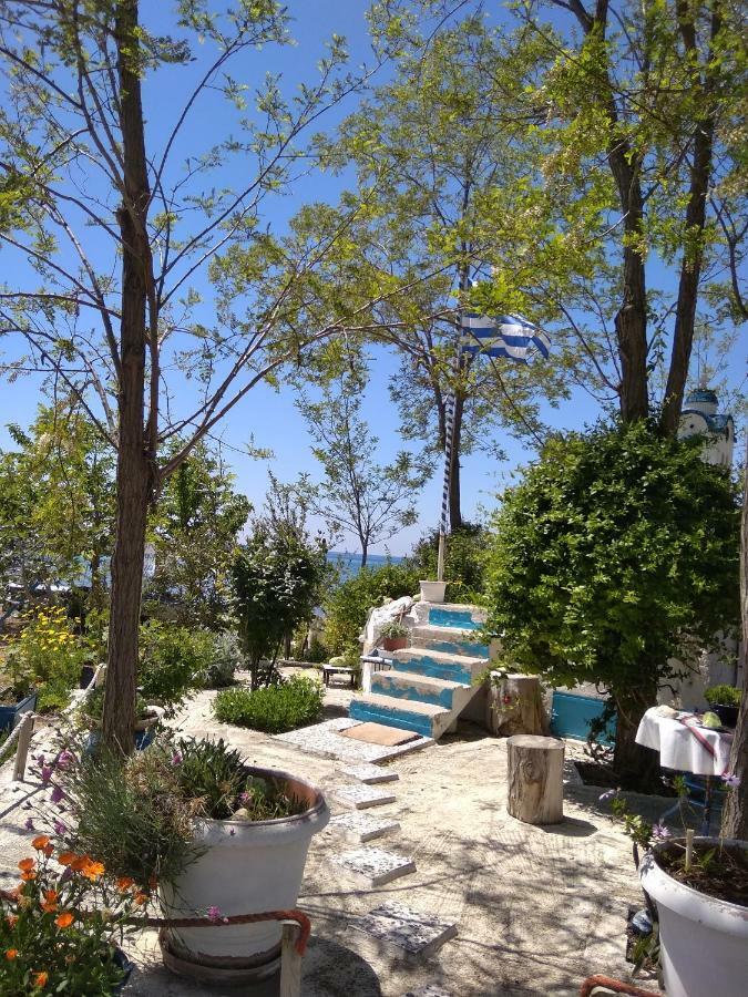Villa Julia Νέα Πλάγια Εξωτερικό φωτογραφία